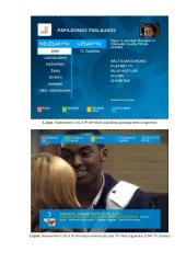 Skaitmeninės ir analoginės antžeminės bei kabelinės televizijos sistemos tyrimas 2 puslapis