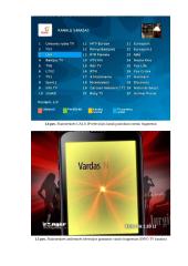 Skaitmeninės ir analoginės antžeminės bei kabelinės televizijos sistemos tyrimas 3 puslapis