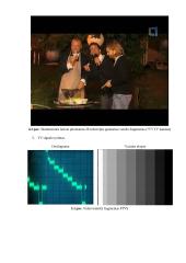 Skaitmeninės ir analoginės antžeminės bei kabelinės televizijos sistemos tyrimas 8 puslapis