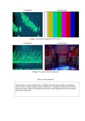 Skaitmeninės ir analoginės antžeminės bei kabelinės televizijos sistemos tyrimas 9 puslapis