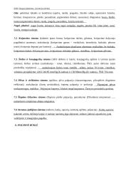 Geriatrinės slaugos istorija 4 puslapis