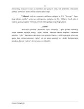 Interneto naršyklės. Privalumai, trūkumai, skirtumai 13 puslapis