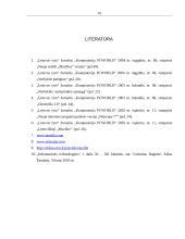 Interneto naršyklės. Privalumai, trūkumai, skirtumai 17 puslapis