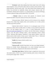 Interneto naršyklės. Privalumai, trūkumai, skirtumai 9 puslapis