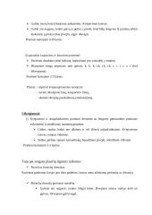 Kineziterapija sergant pneumonija 5 puslapis