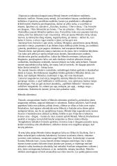 Mėnulis senovės lietuvių pasaulėvokoje 5 puslapis