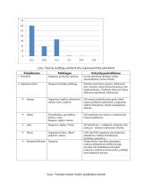 Oro savybės 13 puslapis