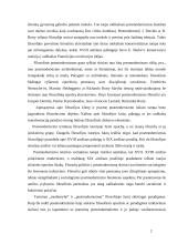 Postmodernizmas ir konservatizmas 2 puslapis