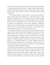 Postmodernizmas ir konservatizmas 5 puslapis