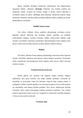 Juslinė analizė 11 puslapis