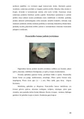 Juslinė analizė 18 puslapis