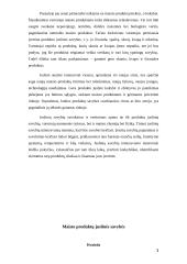 Juslinė analizė 2 puslapis