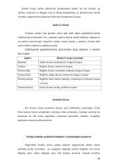 Juslinė analizė 9 puslapis