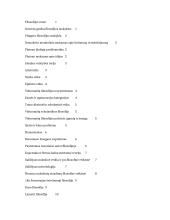 Pagrindiniai filosofai ir jų mintys