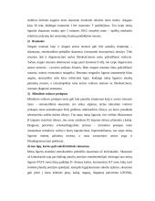 Ligos istorija: kardiologija 13 puslapis