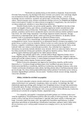 Atleidimas 2 puslapis