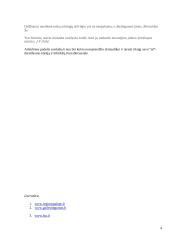 Atleidimas 4 puslapis