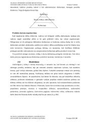 Adomo Mickevičiaus viešosios bibliotekos veiklos organizavimas 13 puslapis