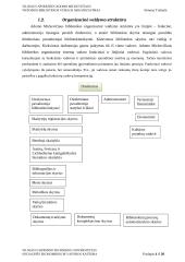 Adomo Mickevičiaus viešosios bibliotekos veiklos organizavimas 4 puslapis