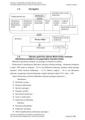 Adomo Mickevičiaus viešosios bibliotekos veiklos organizavimas 5 puslapis