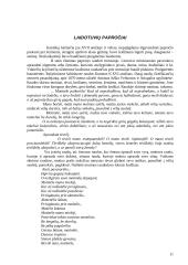 Laidotuvių papročiai Lietuvoje 11 puslapis