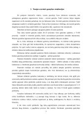 Lanksčioji gamyba ir efektyvumas 2 puslapis