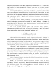 Lanksčioji gamyba ir efektyvumas 3 puslapis