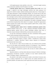 Lanksčioji gamyba ir efektyvumas 4 puslapis