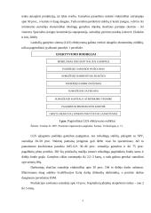 Lanksčioji gamyba ir efektyvumas 6 puslapis