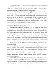 Lanksčioji gamyba ir efektyvumas 7 puslapis