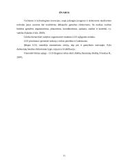 Lanksčioji gamyba ir efektyvumas 10 puslapis