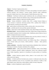 Laurynas Stuoka-Gucevičius. Vilniaus katedra 18 puslapis