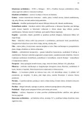 Laurynas Stuoka-Gucevičius. Vilniaus katedra 19 puslapis