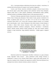 Laurynas Stuoka-Gucevičius. Vilniaus katedra 4 puslapis