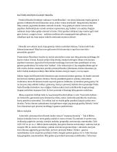 Natūrfilosofijos eladoje pradžia