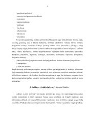 Leidinių tipologija 4 puslapis