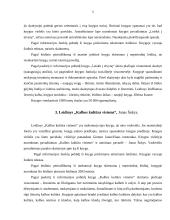 Leidinių tipologija 5 puslapis