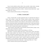 Leidinių tipologija 8 puslapis