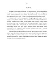 Leidinių tipologija 10 puslapis