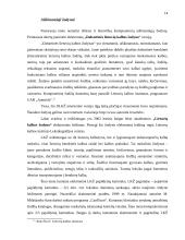 Lietuviški elektroniniai žodynai 14 puslapis