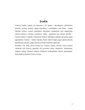 Lietuvių liaudies pasakų ir sakmių veikėjai 2 puslapis