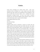 Lietuvių liaudies pasakų ir sakmių veikėjai 9 puslapis