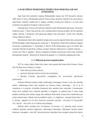 Marijampolės kolegijos istorija ir dabartis 5 puslapis