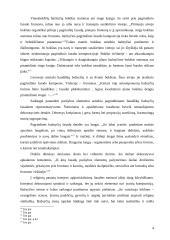 Medinių bažnyčių architektūra Lietuvoje (1795-1918 metais) 5 puslapis