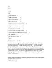 Tiesos problemos aiškinimas filosofijoje