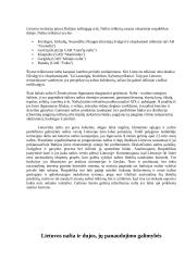 Nafta Lietuvoje 2 puslapis