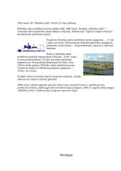 Nafta Lietuvoje 8 puslapis