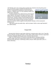 Nafta Lietuvoje 9 puslapis