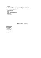 Nafta Lietuvoje 10 puslapis