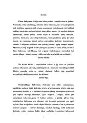 Netaisyklinga laikysena 2 puslapis